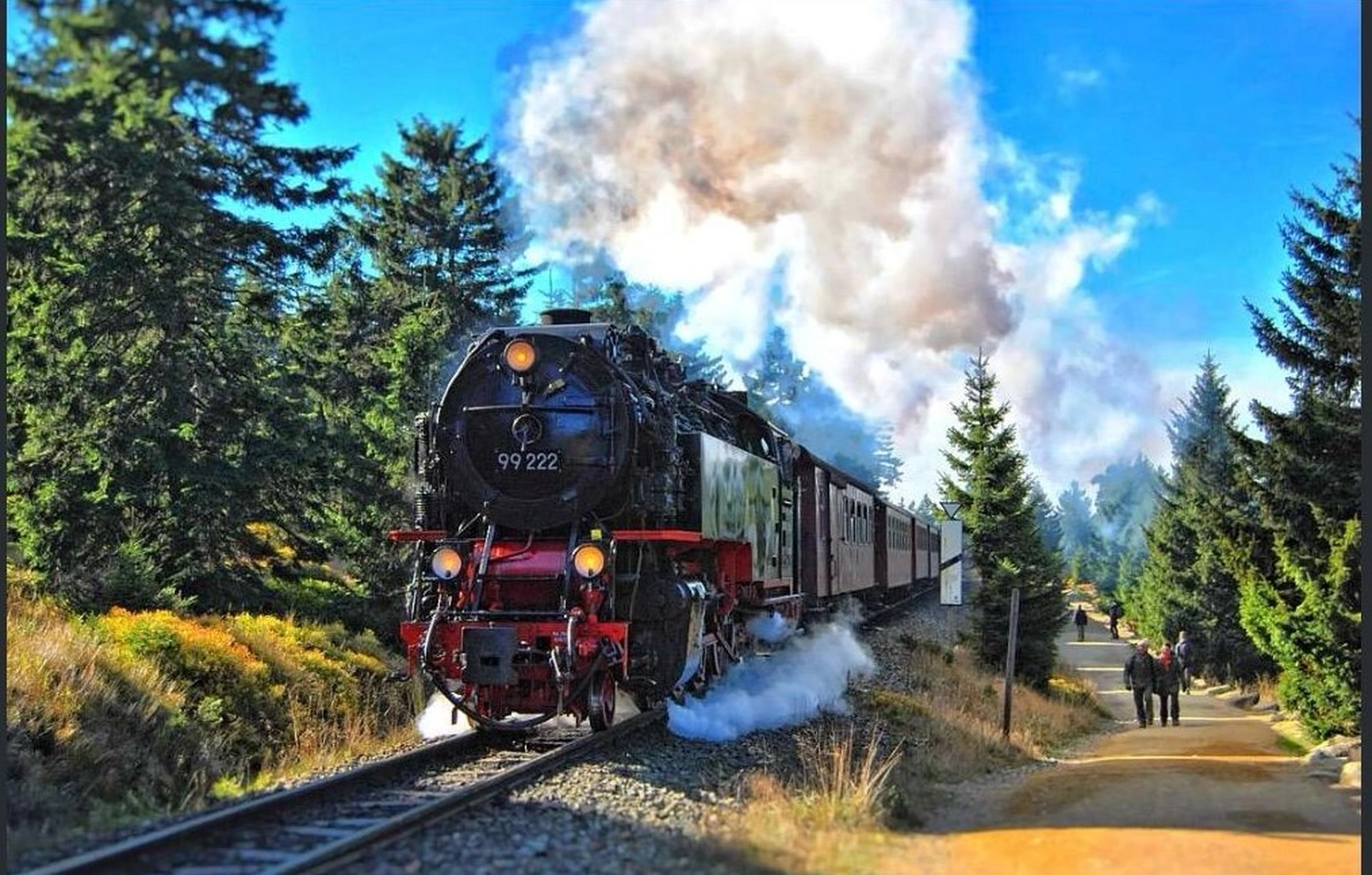 Ecklebe - Ferienwohnung -Eine schwarze Dampflokomotive, genauer gesagt die Harzer Schmalspurbahn-Lokomotive mit der Nummer 99 222.