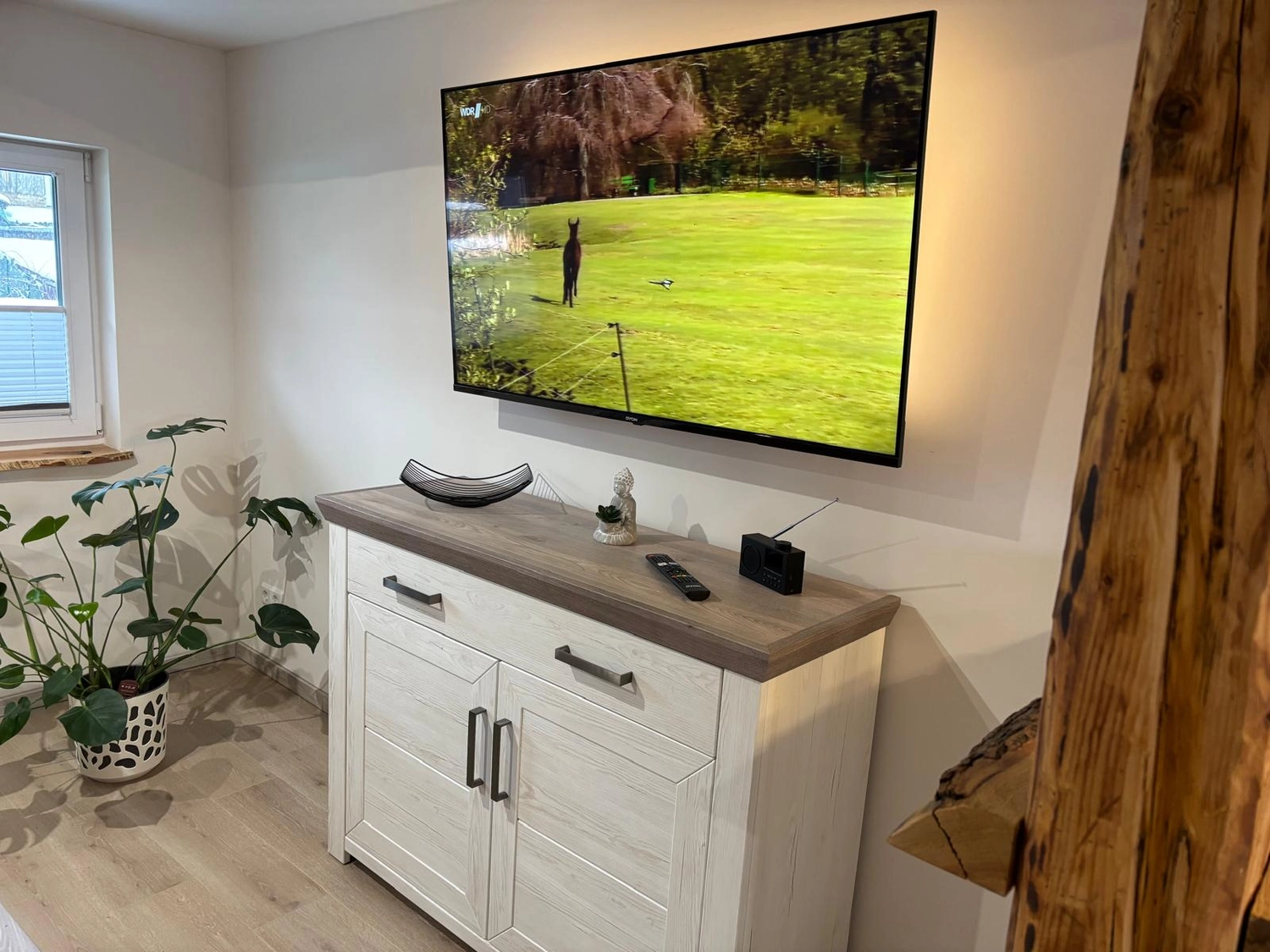 Ecklebe - Ferienwohnung - Ein modernes Wohnzimmer mit einem großen, an der Wand montierten Fernseher, einem weißen Schrank darunter und einer Pflanze in der Ecke.