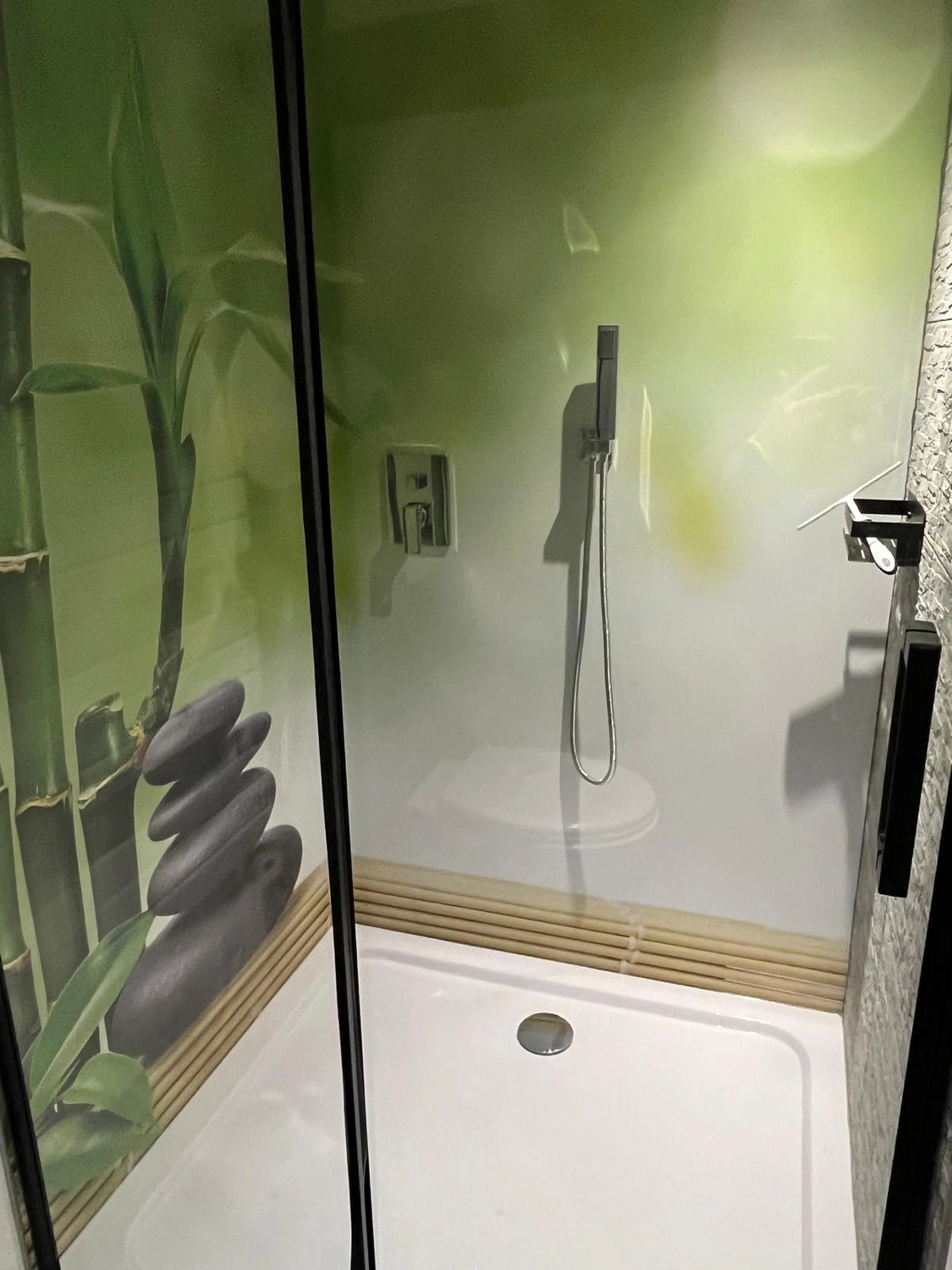 Ecklebe - Ferienwohnung - Ein Duschbereich mit Glasabtrennung, einem weißen beheizten Handtuchhalter und dekorativen Bambusstängeln im Inneren der Dusche.