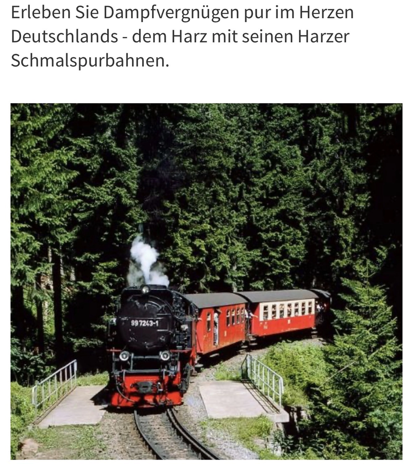 Ecklebe - Ferienwohnung -Eine schwarze Dampflokomotive, genauer gesagt die Harzer Schmalspurbahn-Lokomotive mit der Nummer 99 222.