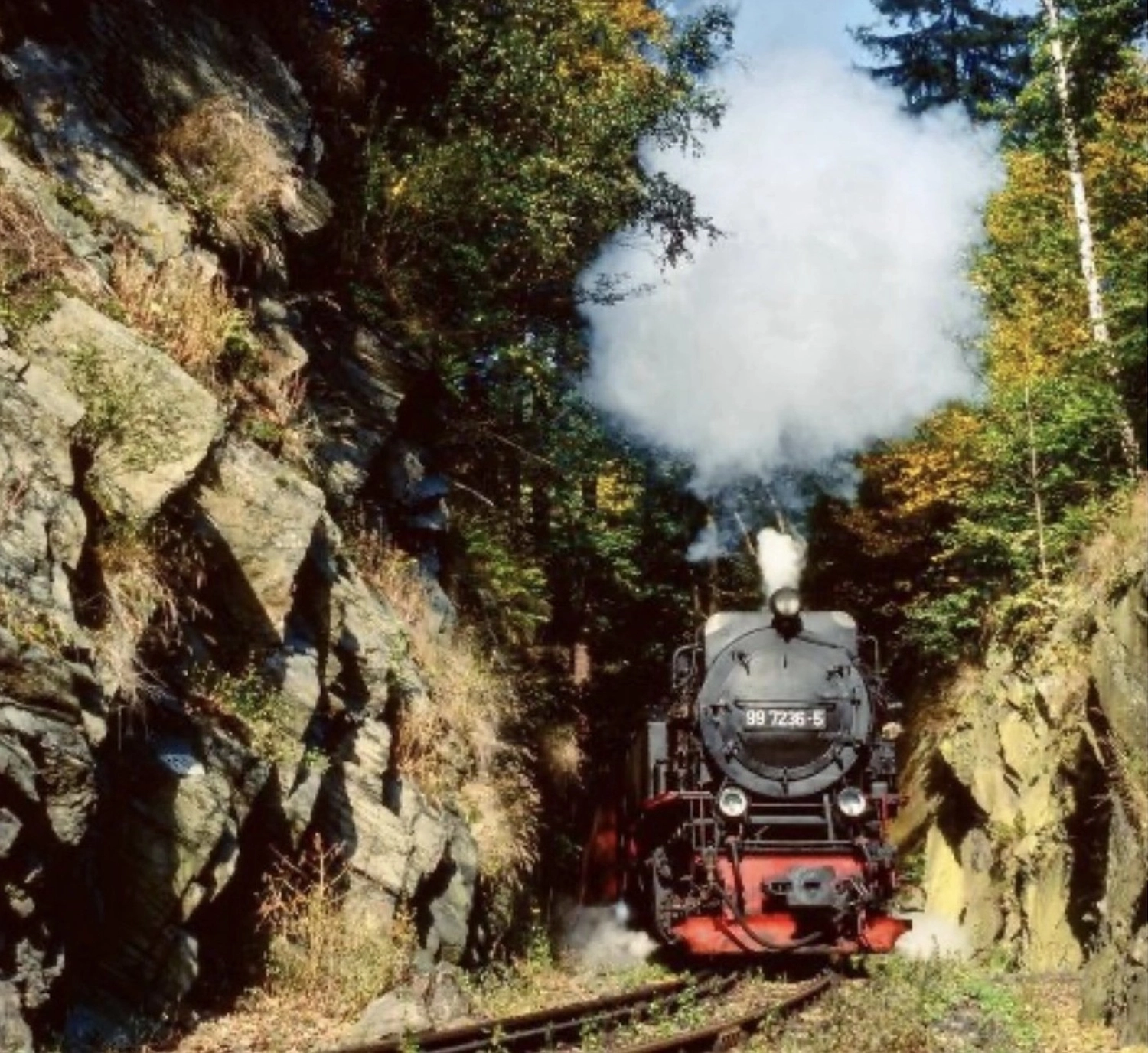 Ecklebe - Ferienwohnung -Eine schwarze Dampflokomotive, genauer gesagt die Harzer Schmalspurbahn-Lokomotive mit der Nummer 99 222.