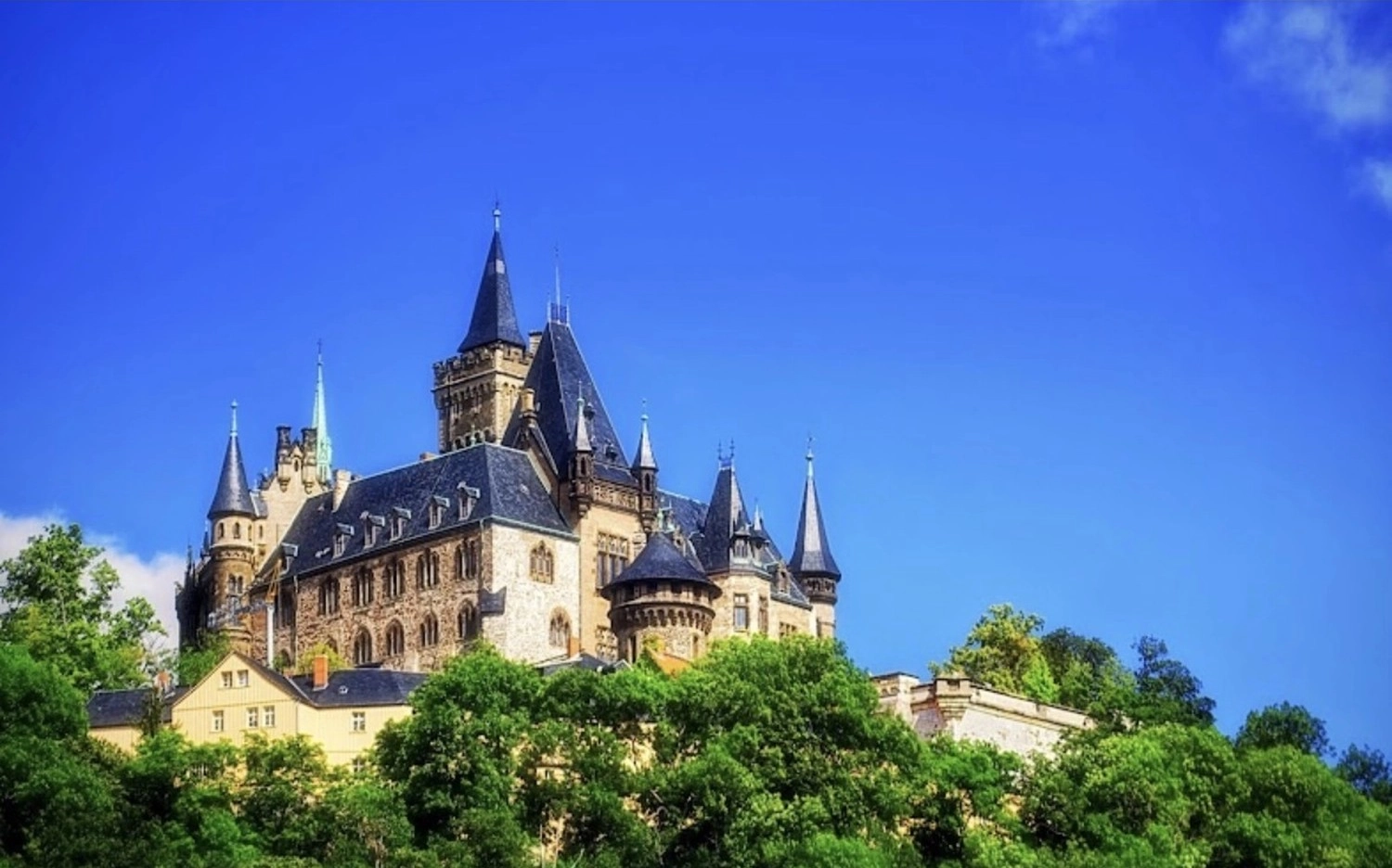 Ecklebe - Ferienwohnung - Ein großes, historisches Schloss auf einem grünen Hügel vor strahlend blauem Himmel.
