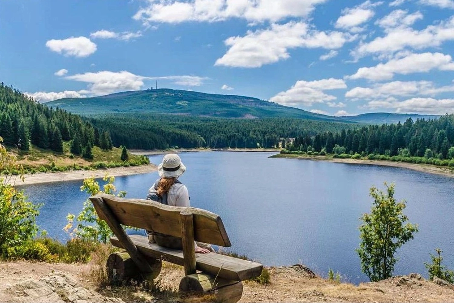Ecklebe - Ferienwohnung - Eine Person sitzt auf einer Holzbank mit Blick auf einen See und einen Wald.